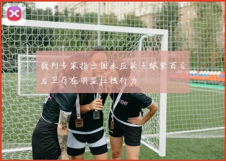 裁判专家指出国米应获点球紫百合后卫存在明显拉拽行为