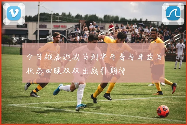 今日雄鹿迎战马刺字母哥与库兹马状态回暖双双出战引期待