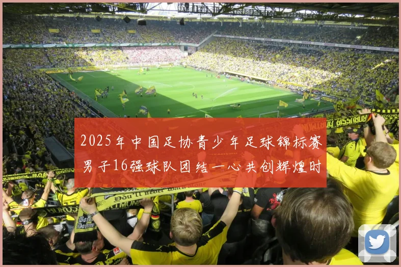 2025年中国足协青少年足球锦标赛男子16强球队团结一心共创辉煌时刻