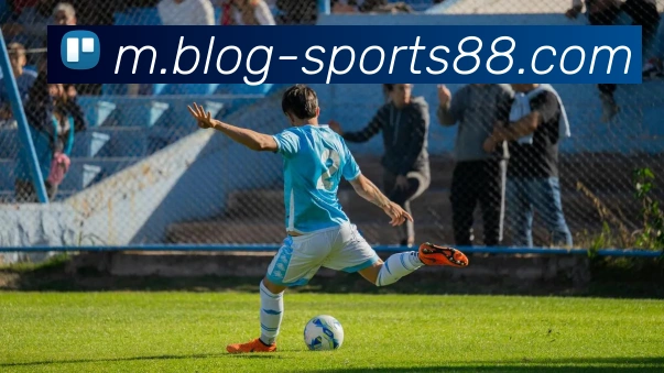 88体育发展历程